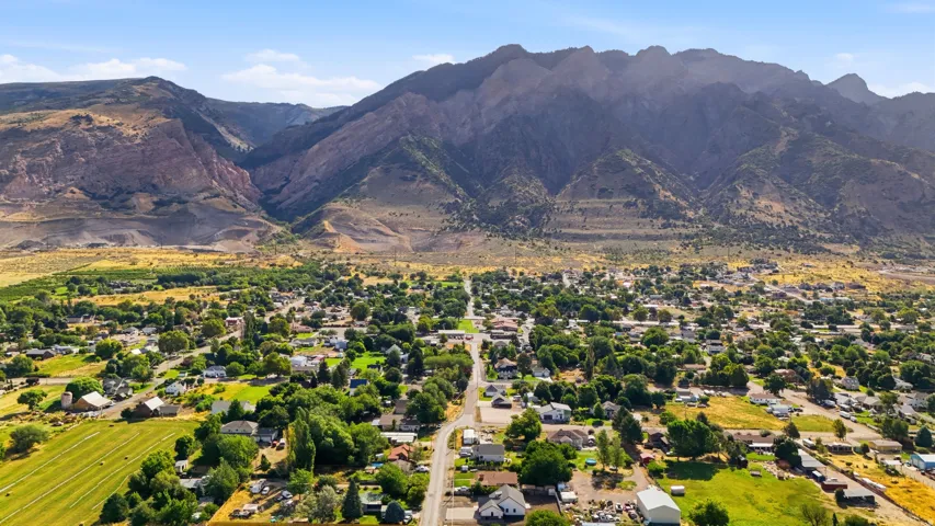 Expansive residential area featuring numerous detached homes, mature trees, and agricultural fields, with a prominent mountain backdrop
