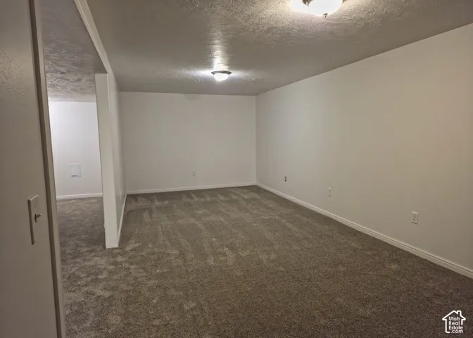 Expansive room featuring neutral-toned carpeting, gray painted walls, and a textured ceiling