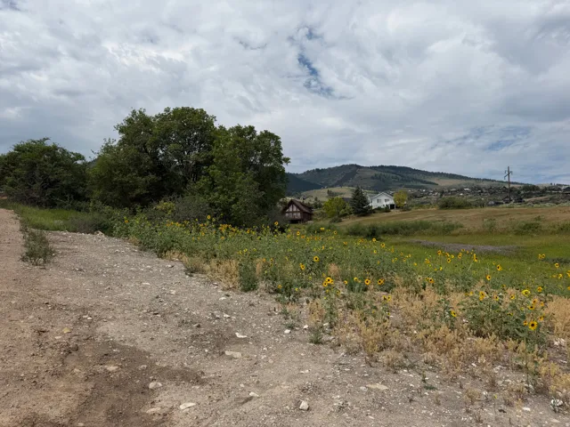 Expansive natural landscape with a gravel path, a field of sunflowers, and distant residential structures