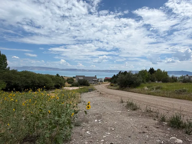 Expansive landscape featuring a gravel road, natural ground cover, and a field of sunflowers
