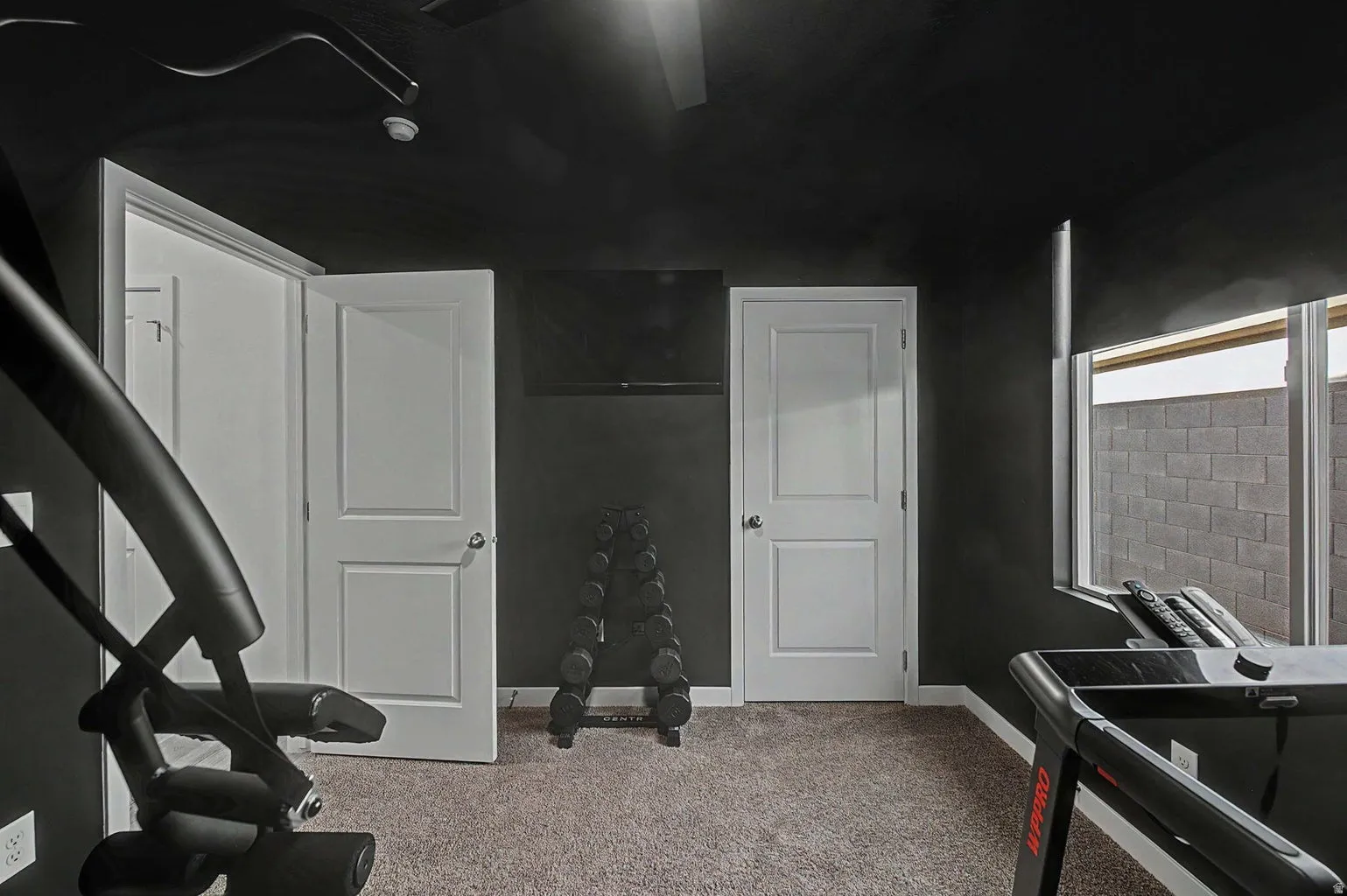 Room featuring dark walls, light carpet flooring, and two paneled interior doors