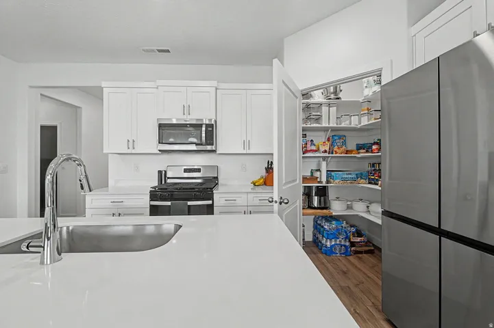 Modern kitchen featuring white cabinetry, stainless steel appliances, a large pantry with shelving, a kitchen island with an integrated sink, and white countertops