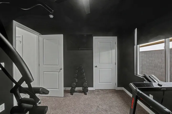 Room featuring dark walls, light carpet flooring, and two paneled interior doors