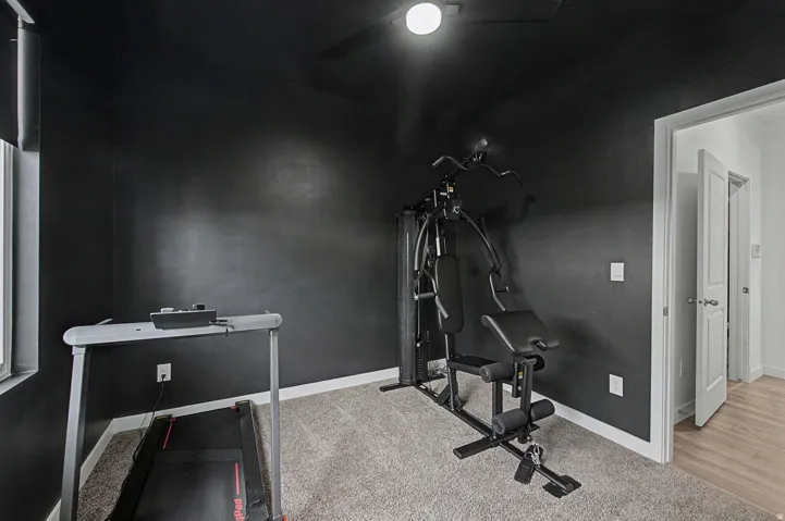 Interior room featuring dark walls, light gray carpeting, and white baseboards