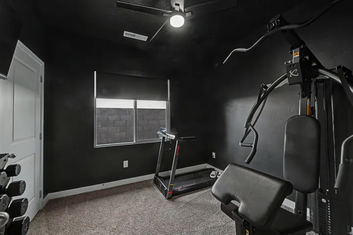 Carpeted room with a black ceiling, black walls, and white trim
