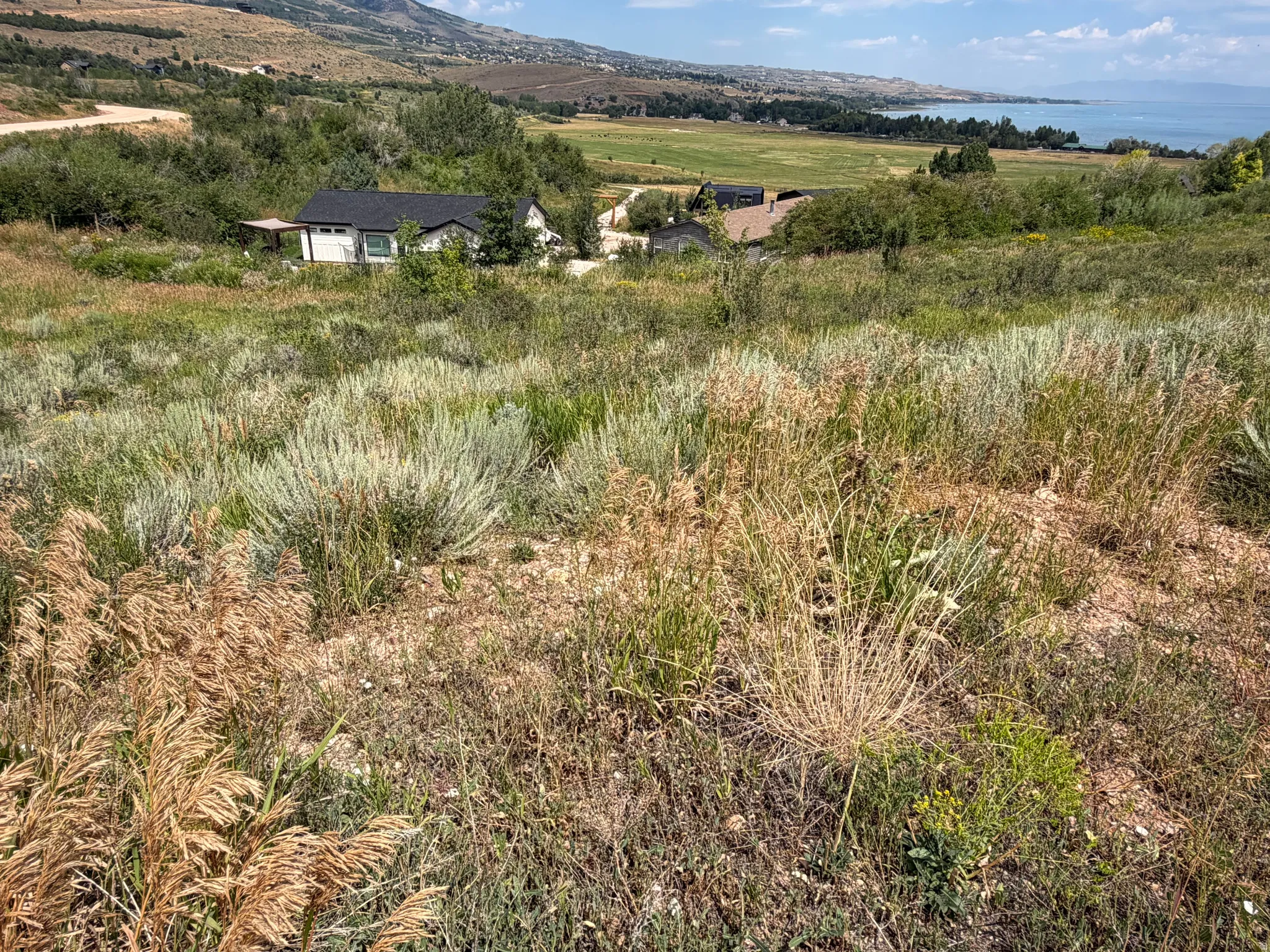 Expansive natural landscape with varied foliage