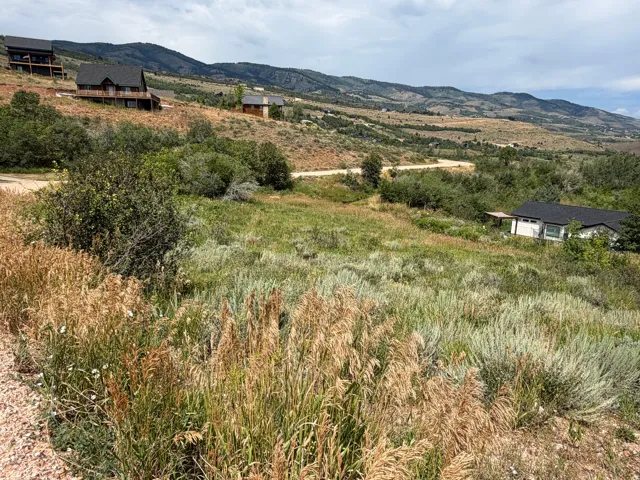 Expansive natural landscape featuring rolling hills and distant mountains
