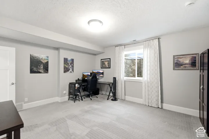 Lower level bedroom 5