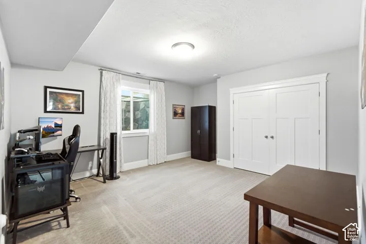 Lower level bedroom 5