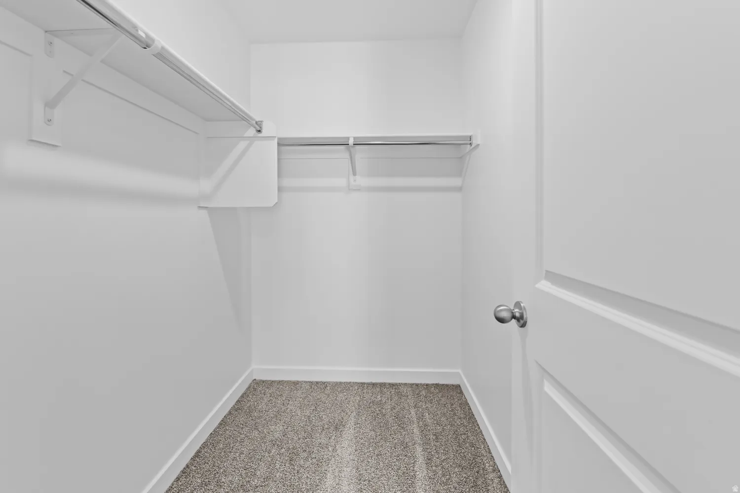 Walk-in closet featuring light gray carpet, white walls, and multiple built-in shelving units with hanging rods