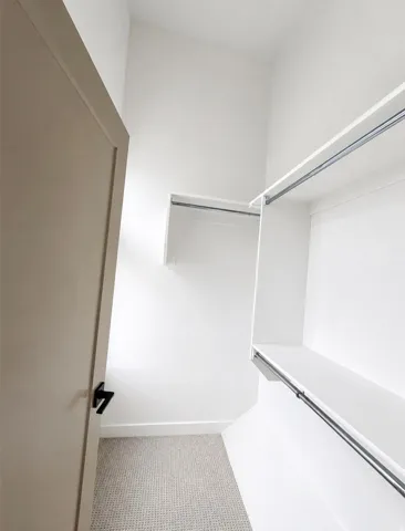 Walk-in closet featuring white built-in shelving, hanging rods, and light-toned carpeting