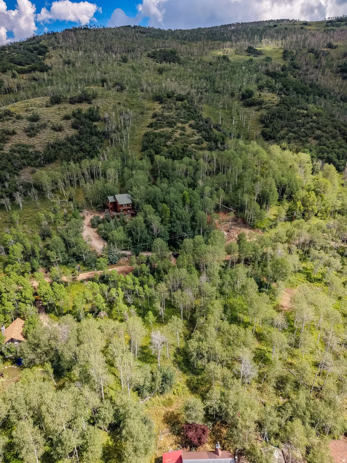 Rustic cabin nestled among dense aspen and conifer trees, with a prominent mountainous backdrop featuring varied tree cover
