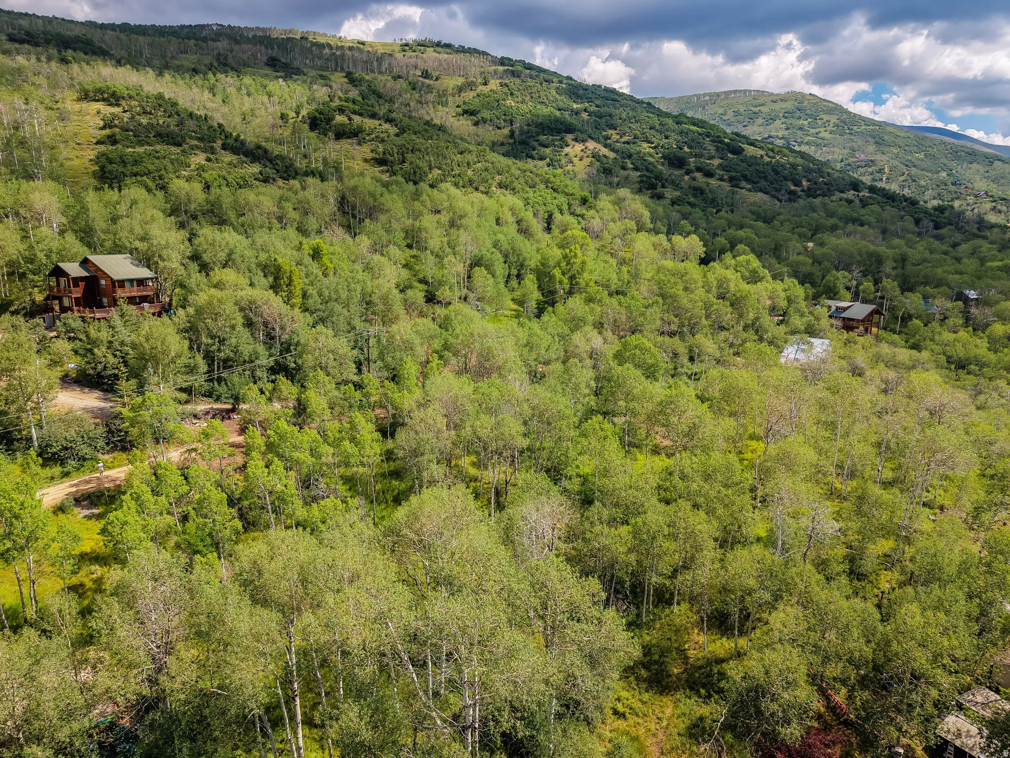 Expansive wooded hillside property with two distinct cabin-style residences