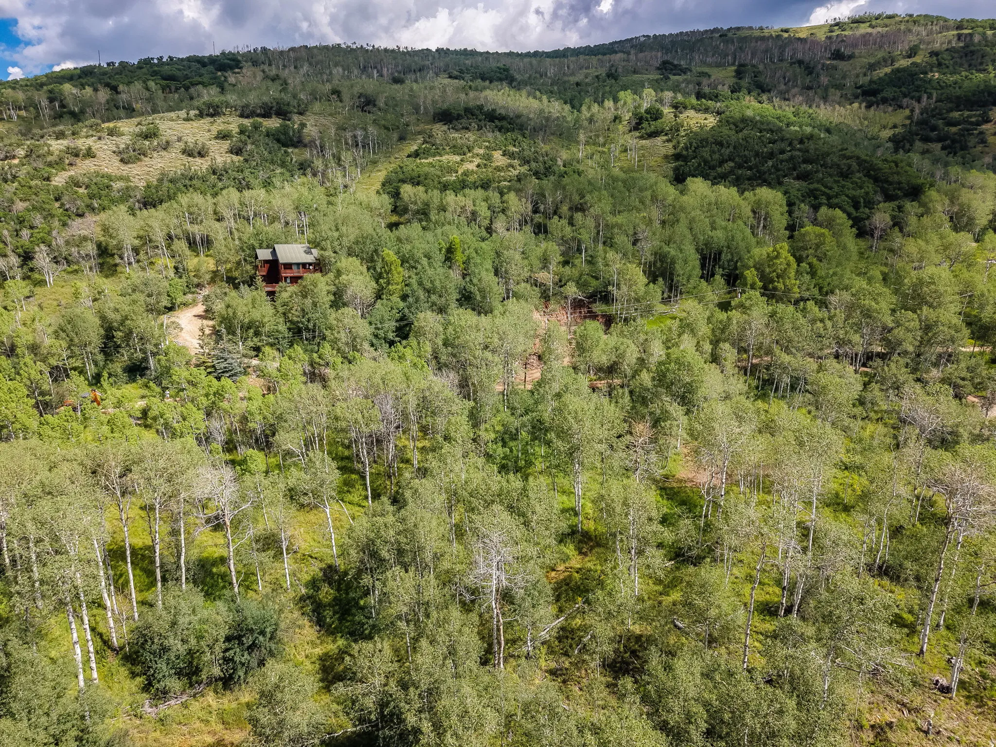 Secluded residence nestled amongst abundant mature trees, featuring a natural landscape and verdant surroundings