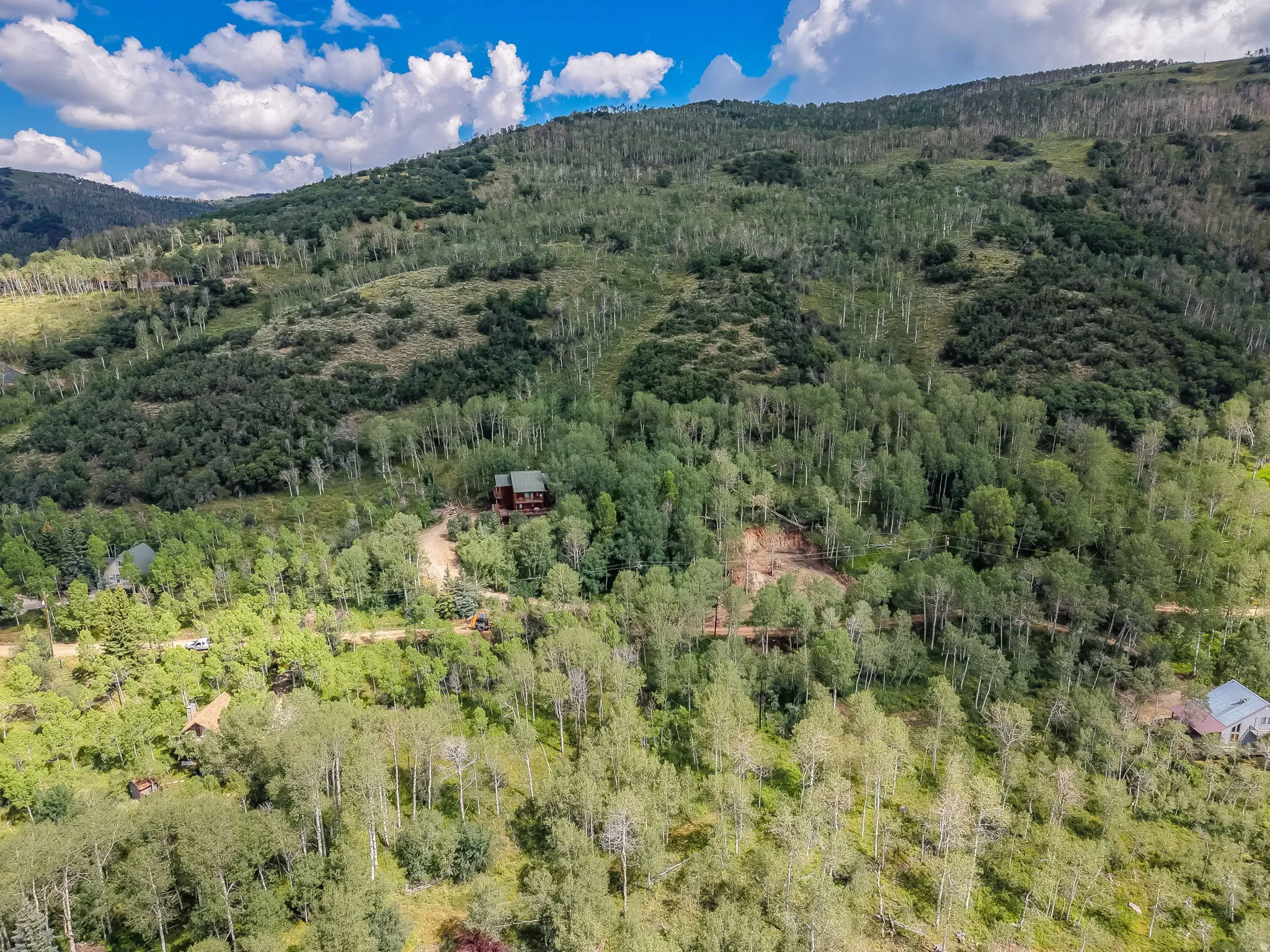 Hillside property featuring dense forest, a winding dirt road, and a red-toned dwelling nestled among the trees