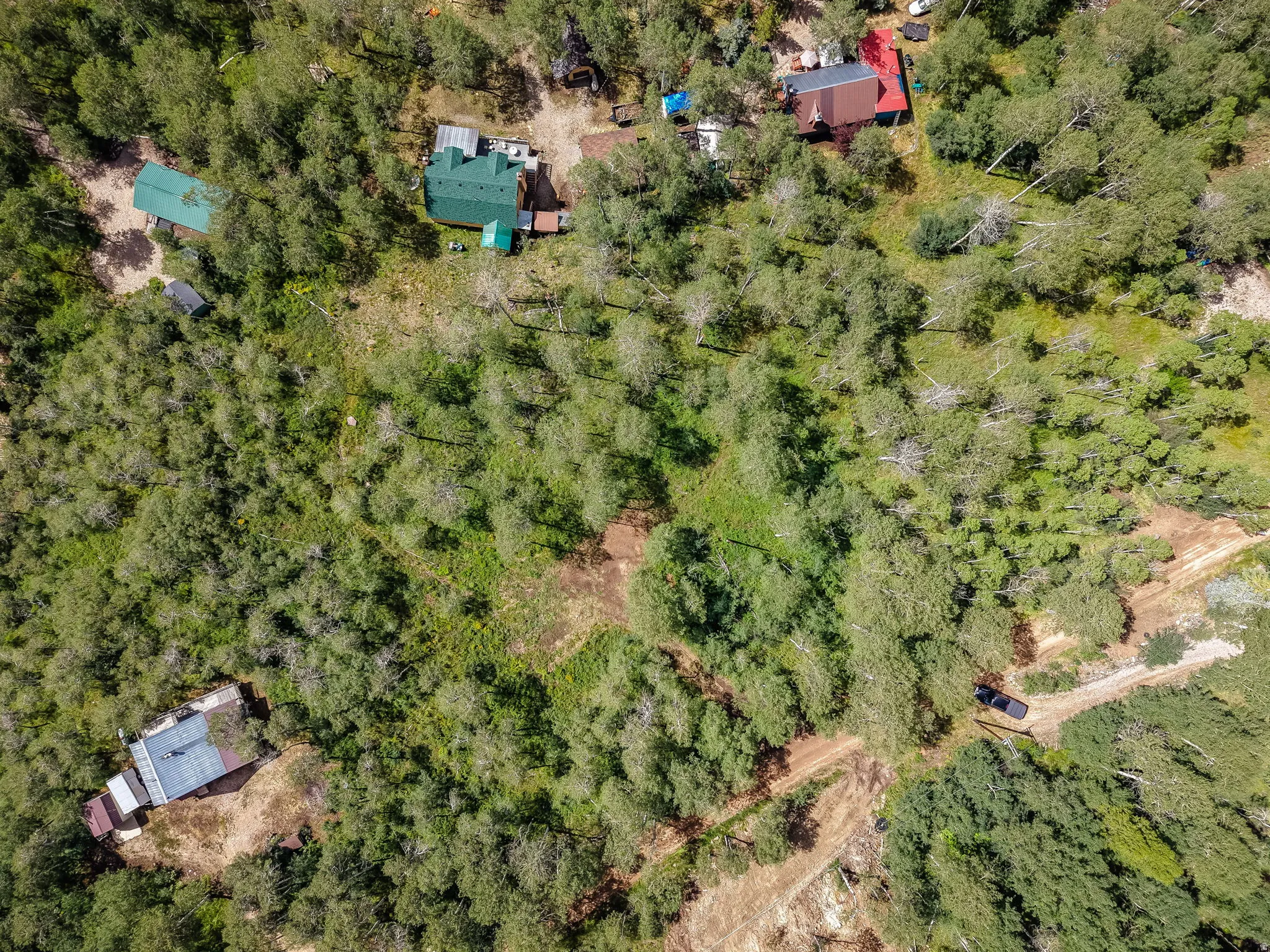 Expansive wooded parcel featuring multiple structures and clearings