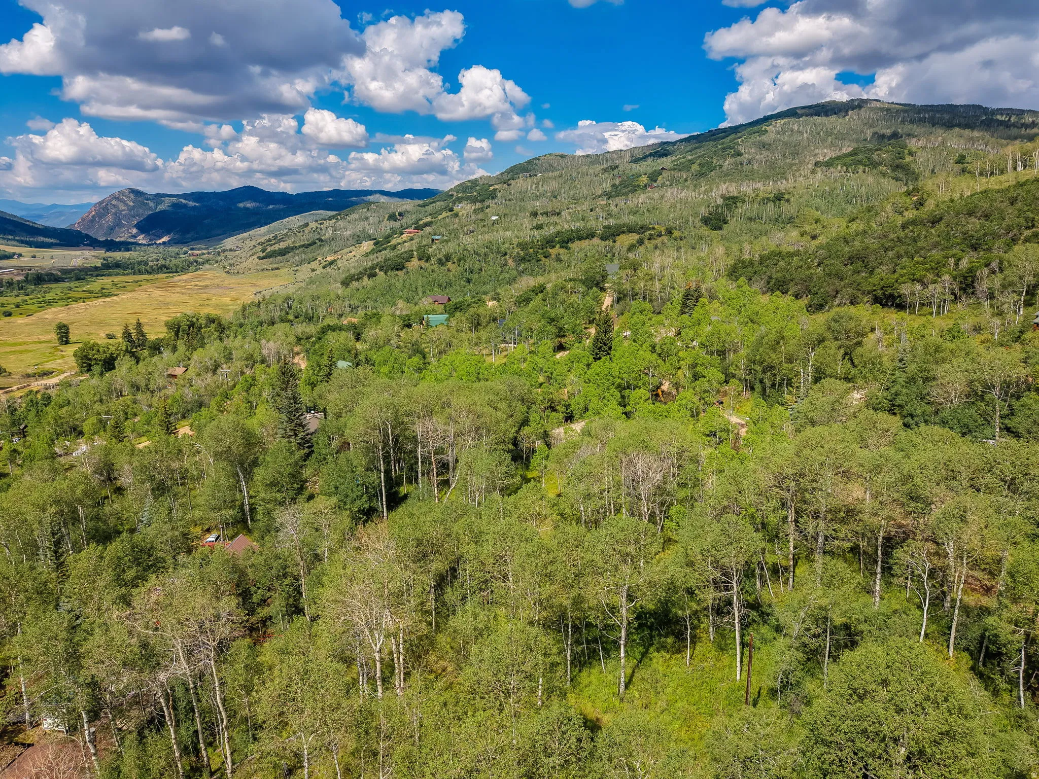 Expansive mountain landscape featuring a valley, abundant tree coverage, and distant peaks