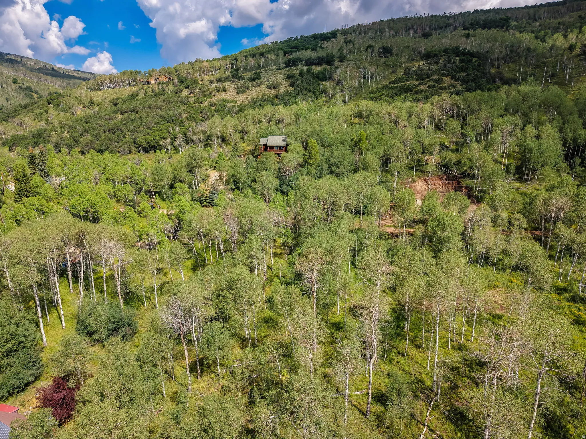 Cabin-style residence nestled among dense trees on a hillside