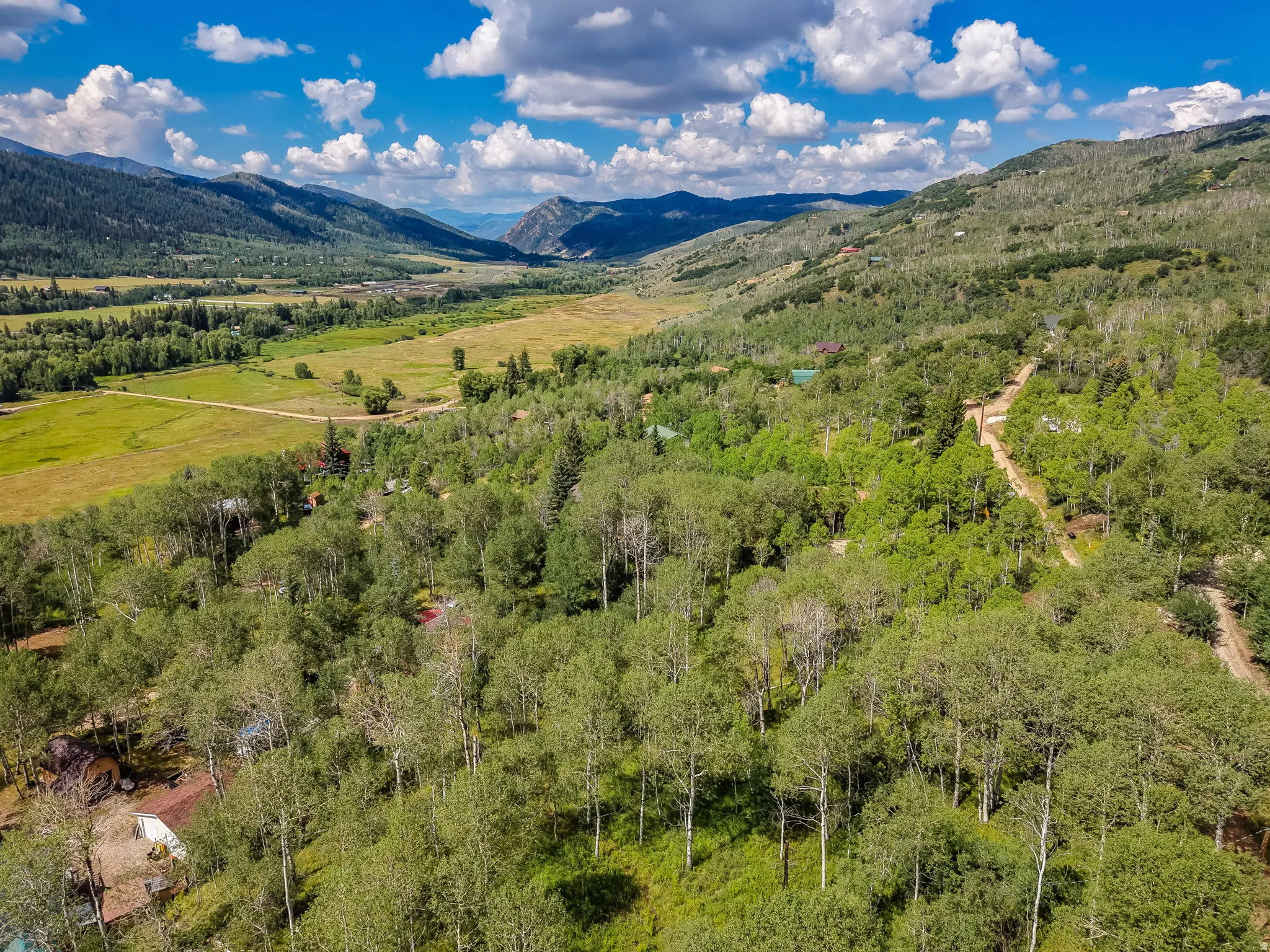 Expansive, treed landscape featuring a valley and distant mountains