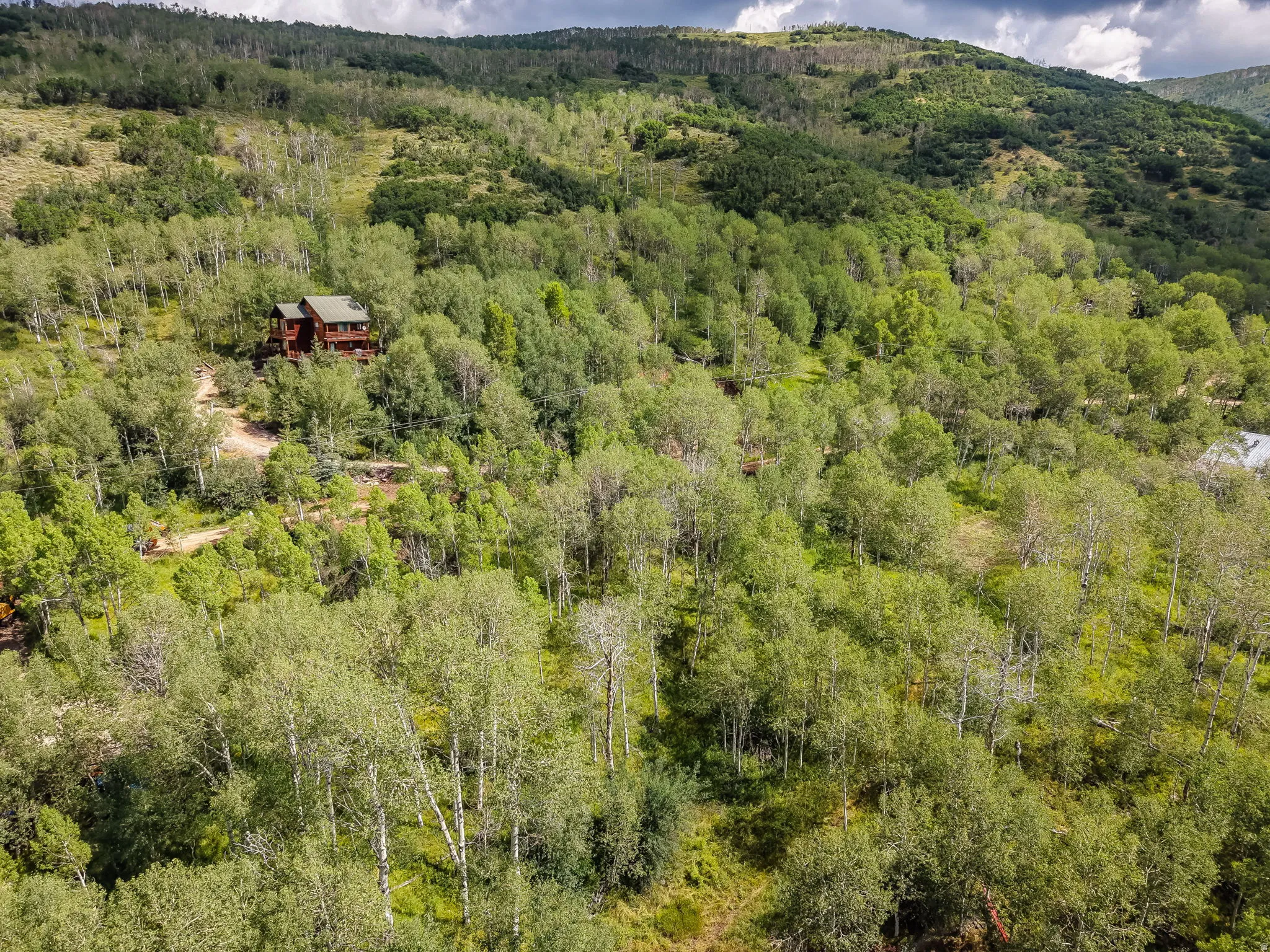 Secluded cabin with a dark wood exterior and a green roof, nestled within a dense forest of mature deciduous trees