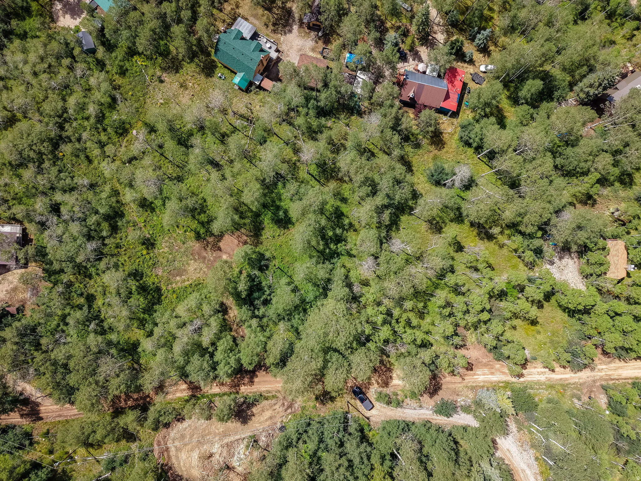 Expansive wooded property featuring a natural landscape and verdant foliage