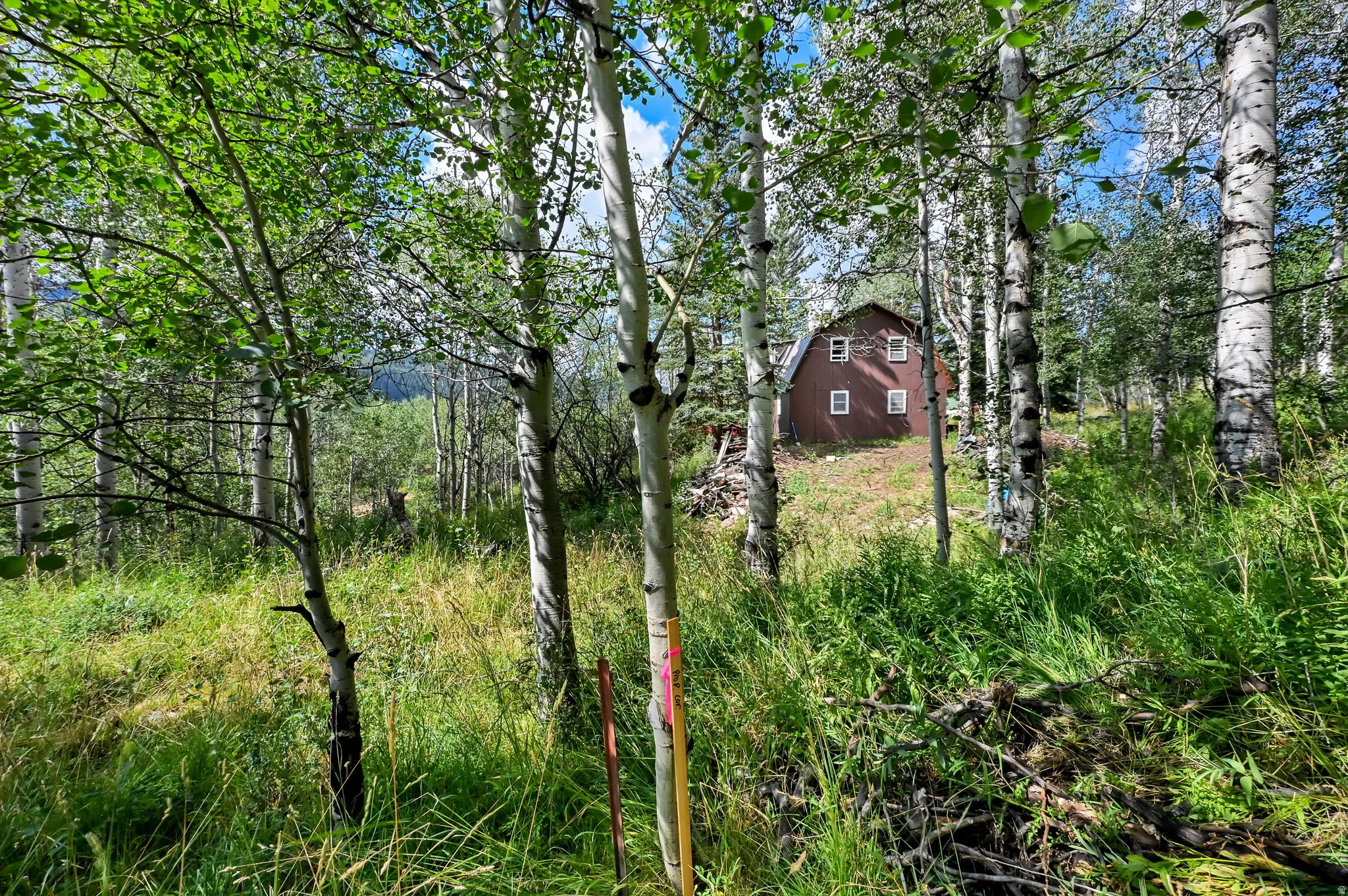 Wooded property with a brown gable-roof home featuring white-trimmed windows, surrounded by mature trees and natural terrain