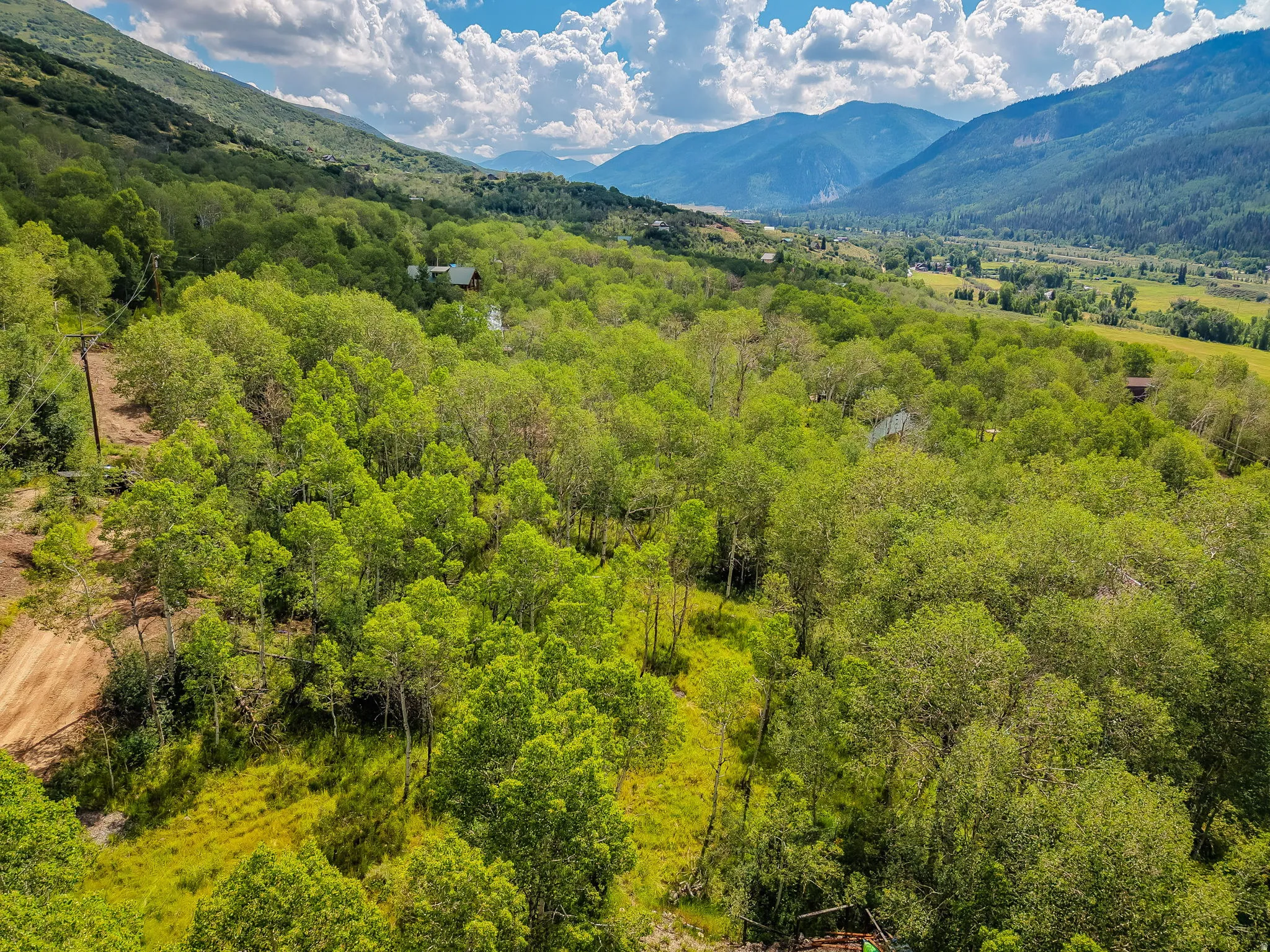 Expansive, tree-covered landscape featuring a mountain backdrop and a distant valley