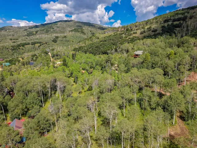 Lush mountain landscape featuring dense deciduous and evergreen tree cover