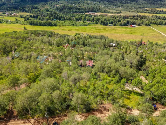 Expansive aerial perspective showcasing a verdant landscape with mature trees