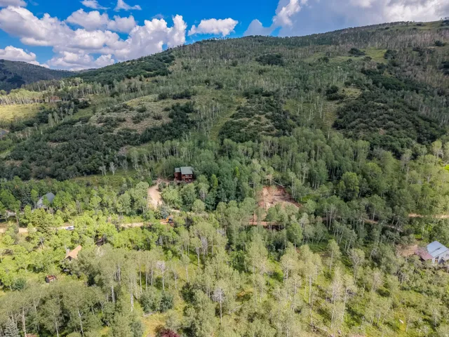 Hillside property featuring dense forest, a winding dirt road, and a red-toned dwelling nestled among the trees