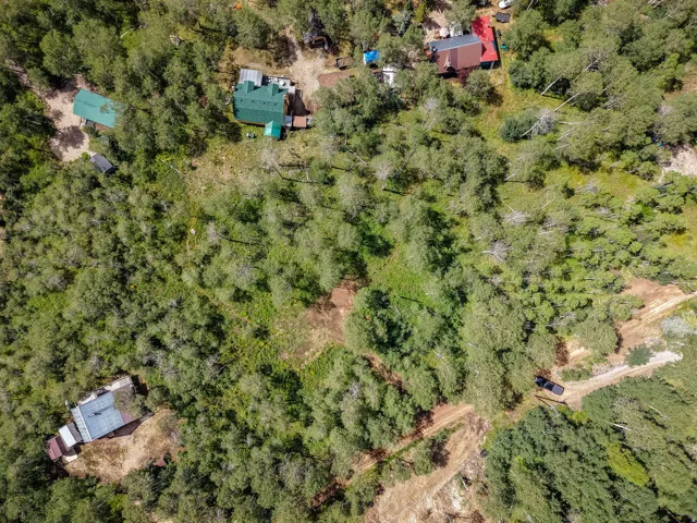 Expansive wooded parcel featuring multiple structures and clearings