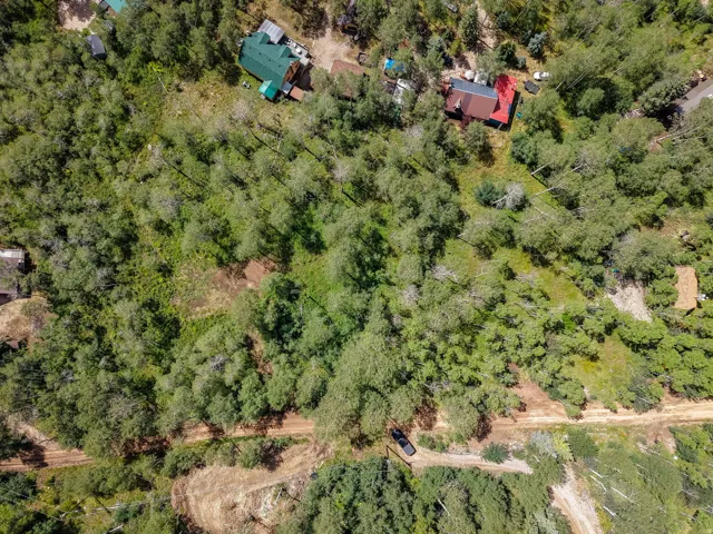 Expansive wooded property featuring a natural landscape and verdant foliage