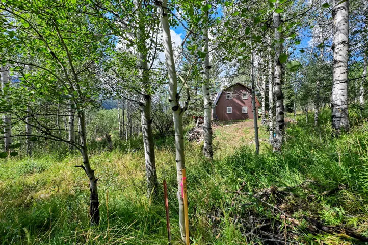 Wooded property with a brown gable-roof home featuring white-trimmed windows, surrounded by mature trees and natural terrain