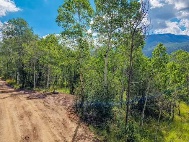 Wooded landscape featuring a natural dirt road, mature trees, dense foliage, and distant mountains