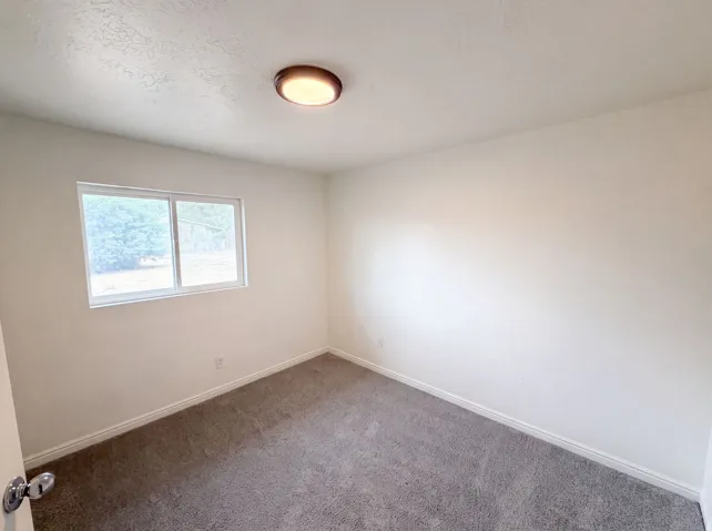 Room with plush gray carpeting, white walls, and white baseboards