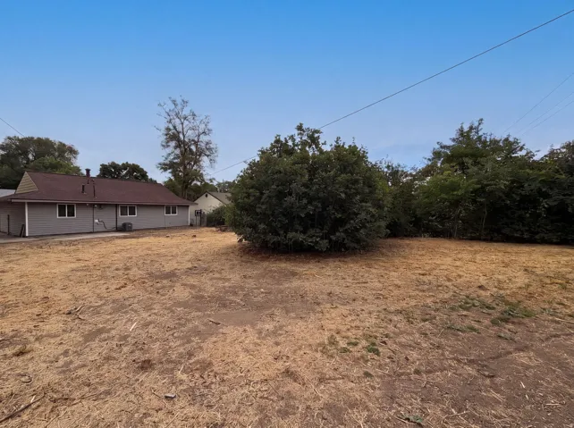 Spacious rear yard with a large central shrub and perimeter trees