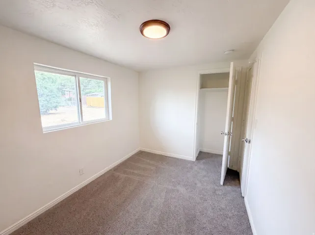 Carpeted interior space featuring white walls, a large window, a ceiling-mounted light fixture, and a built-in closet with bi-fold doors