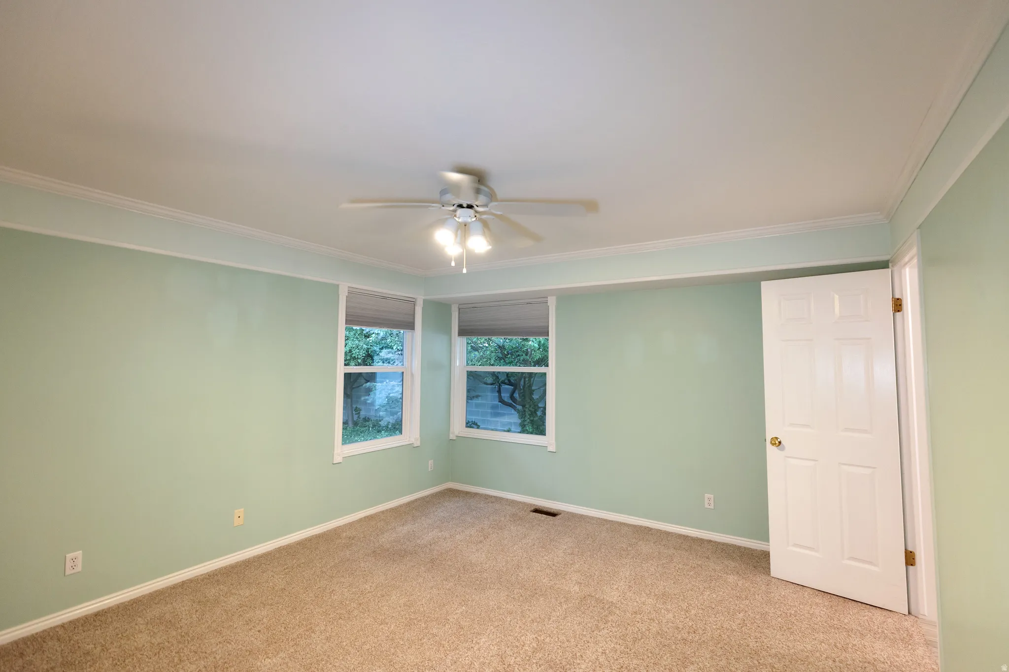 Carpeted room featuring light green walls with white crown molding and baseboards