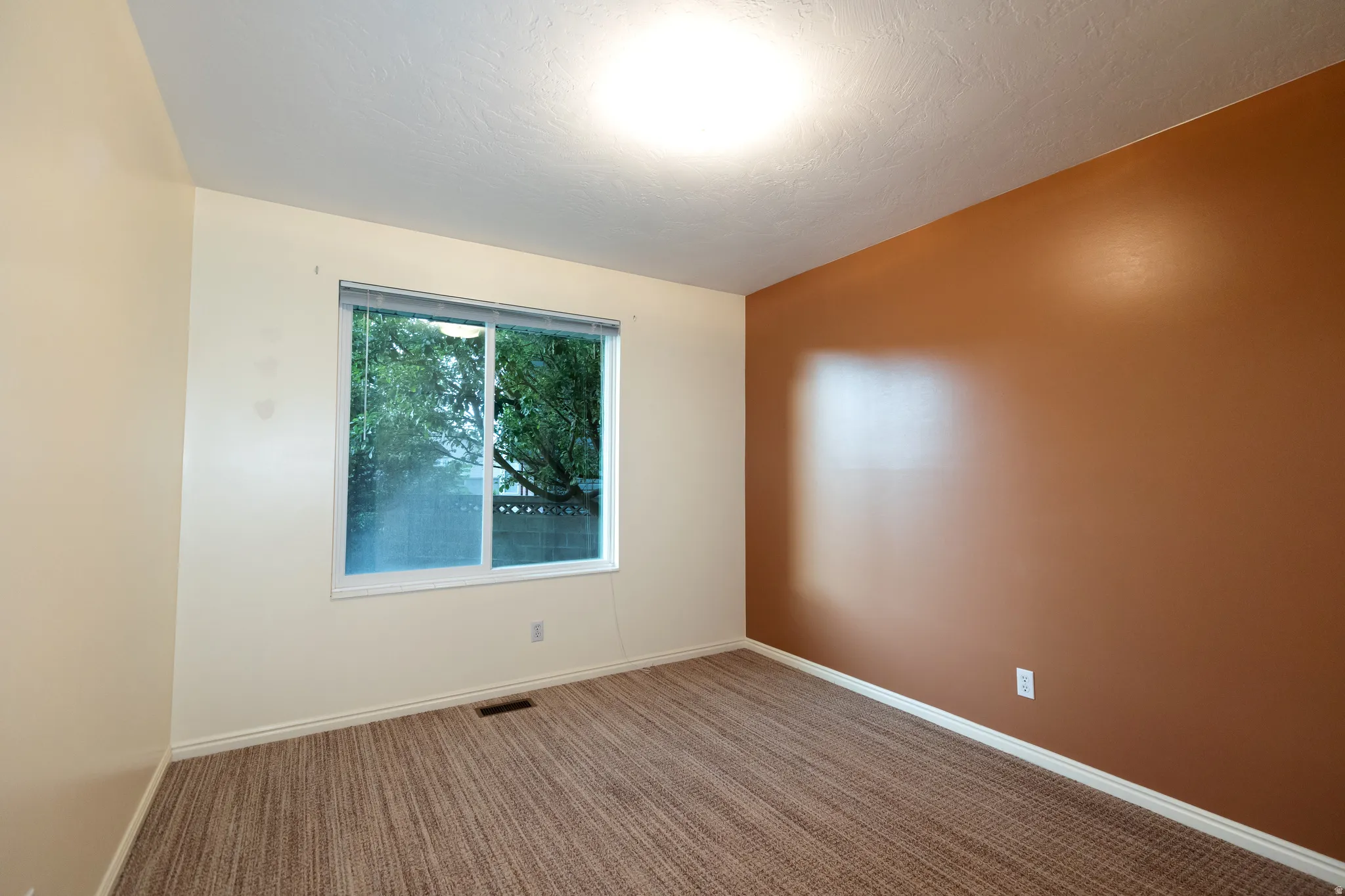 Interior room featuring a large window, textured ceiling, brown patterned carpet, and a feature wall in a warm brown tone