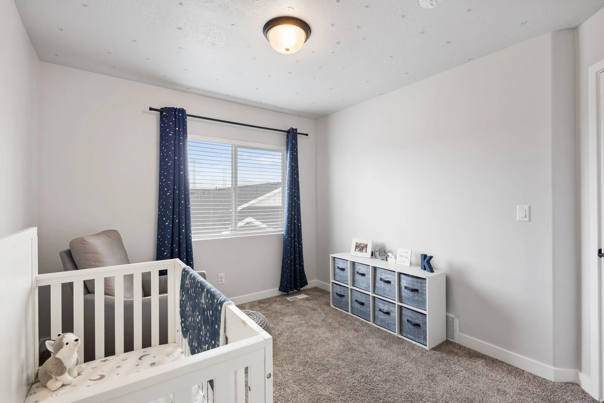Carpeted room featuring a double window with blinds, ceiling-mounted light fixture, and white baseboards