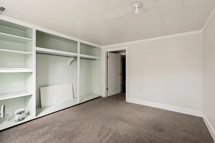 Room featuring built-in shelving, a closet rod, and neutral-toned carpet flooring