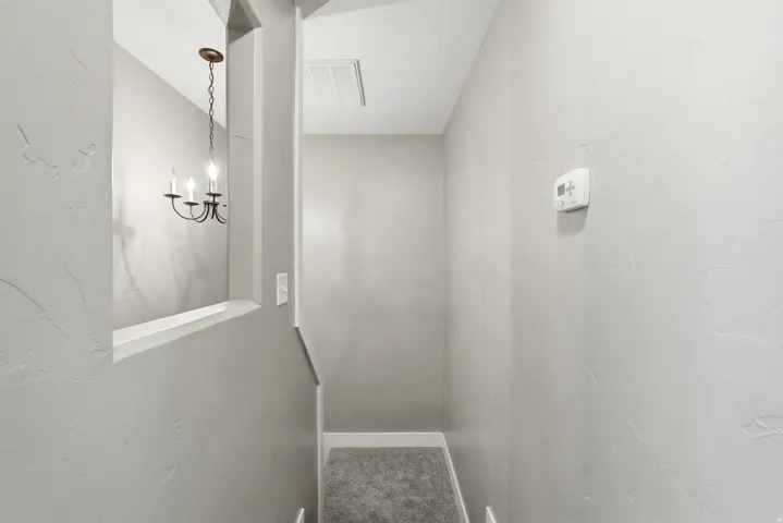Staircase with plush carpet flooring and a built-in architectural opening