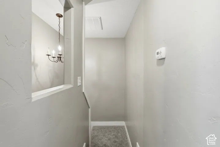 Staircase with plush carpet flooring and a built-in architectural opening