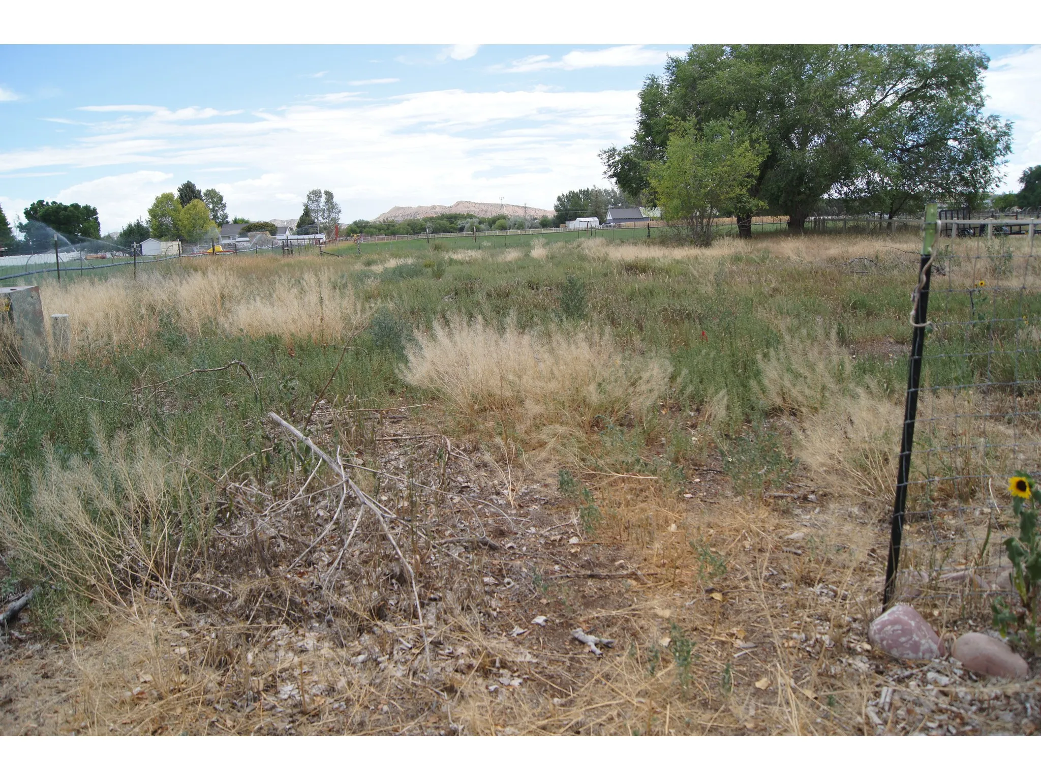 Expansive open land featuring natural vegetation and established trees