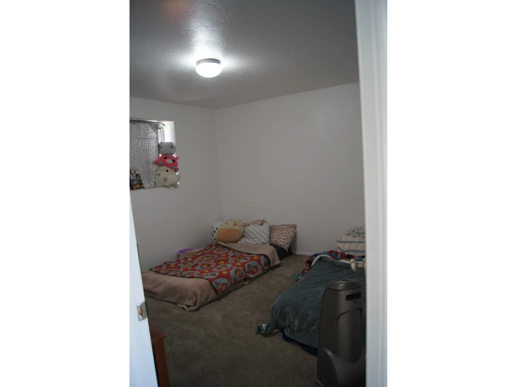 Bedroom 4 Room featuring light gray carpet, white painted walls, a flush-mount ceiling light fixture, and a window with a reflective covering