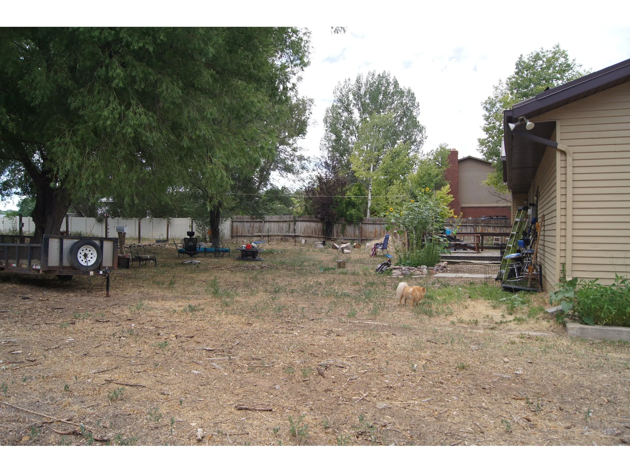Expansive backyard featuring a mature shade tree, perimeter fencing, and a side exterior of the property with beige siding