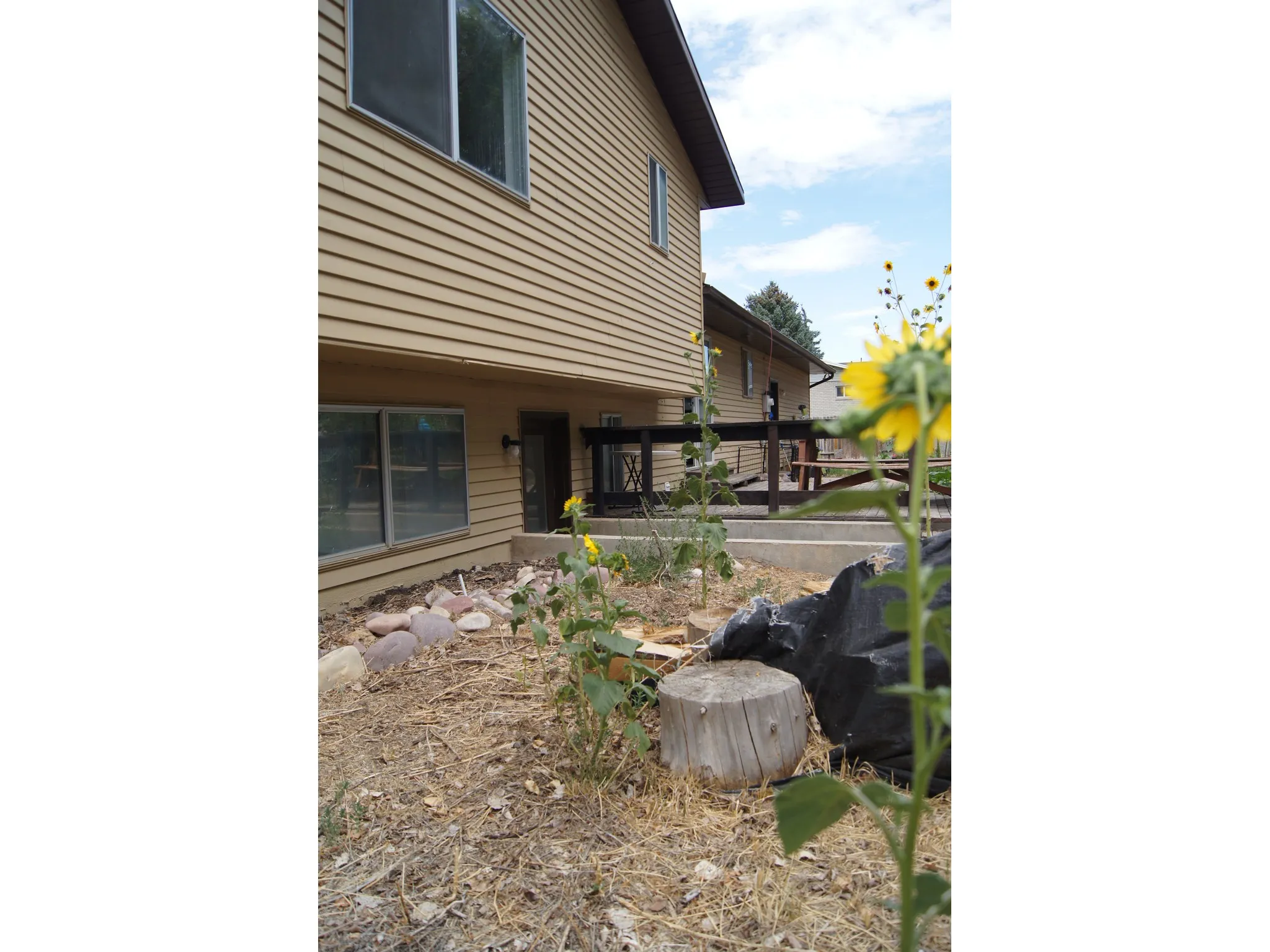 Exterior siding in a neutral tone with multiple windows