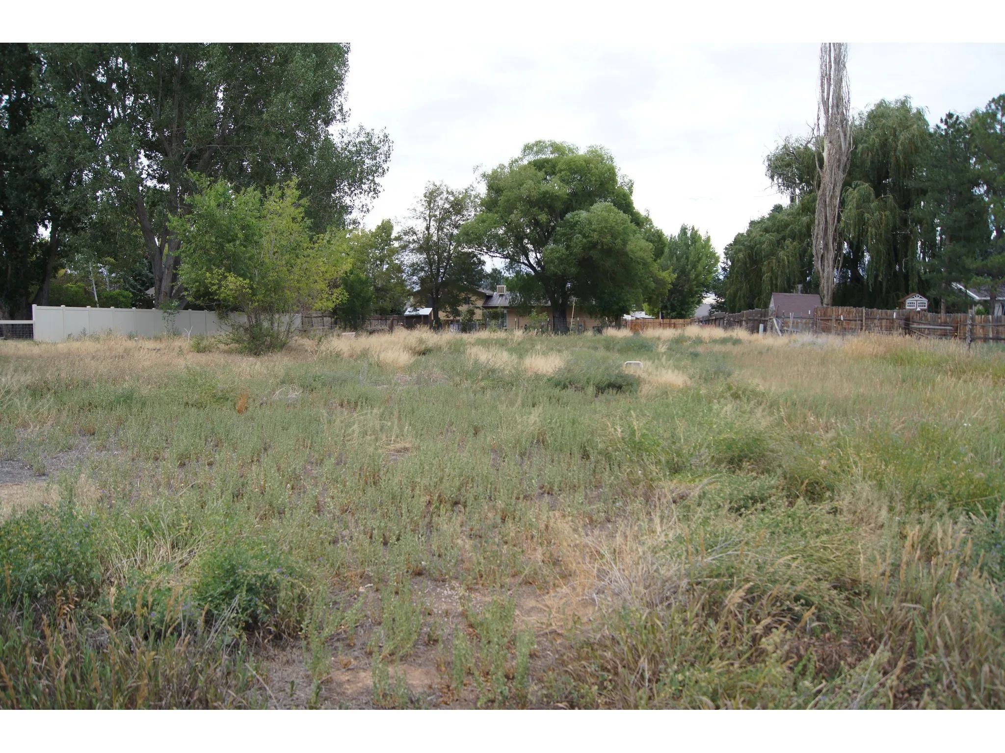 Expansive lot featuring varied ground cover, mature trees, and privacy fencing