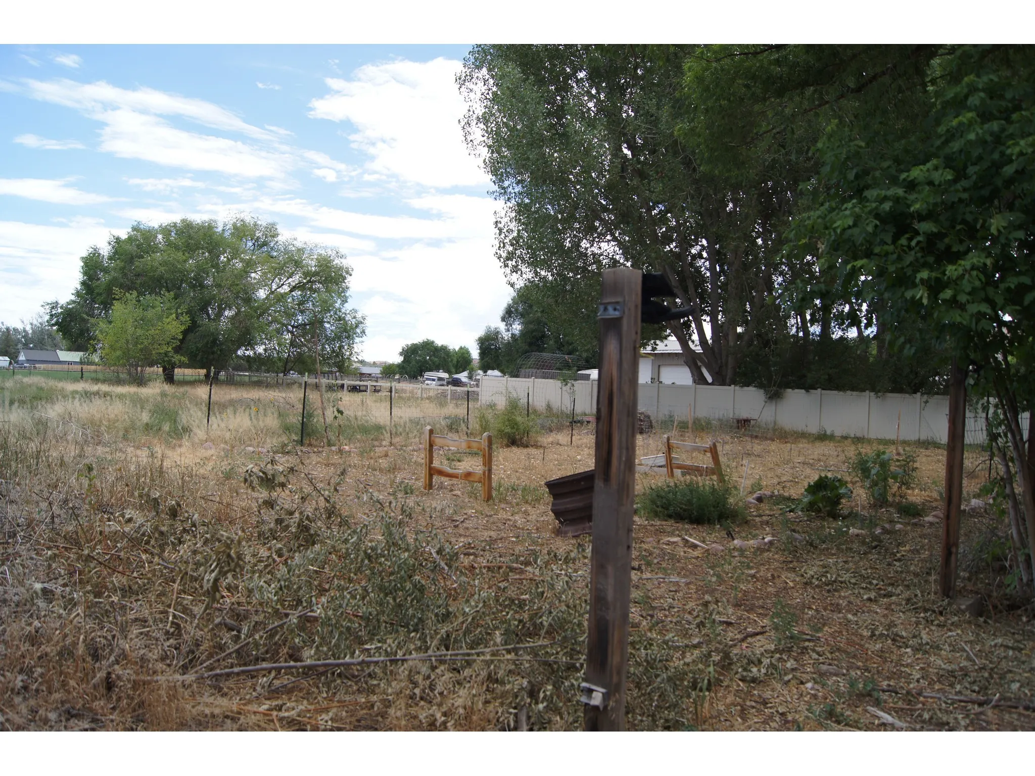 Expansive open land featuring diverse vegetation and mature trees