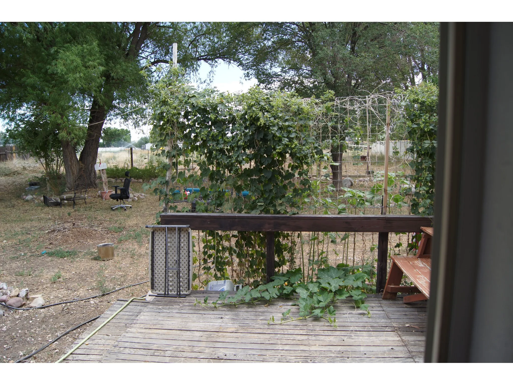 Wood-plank deck with a dark wood railing, overlooking an expanse of natural landscaping with mature trees and established Hopps